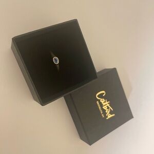Catbird Galene signet ring